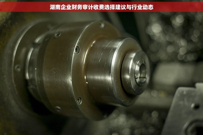 湖南企业财务审计收费选择建议与行业动态