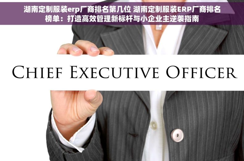 湖南定制服装erp厂商排名第几位 湖南定制服装ERP厂商排名榜单：打造高效管理新标杆与小企业主逆袭指南