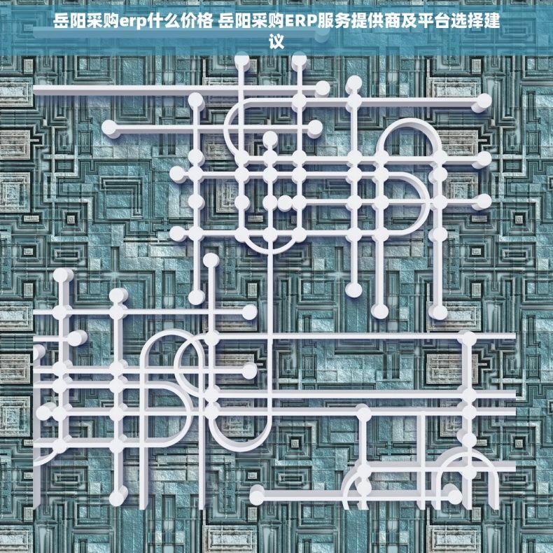 岳阳采购erp什么价格 岳阳采购ERP服务提供商及平台选择建议