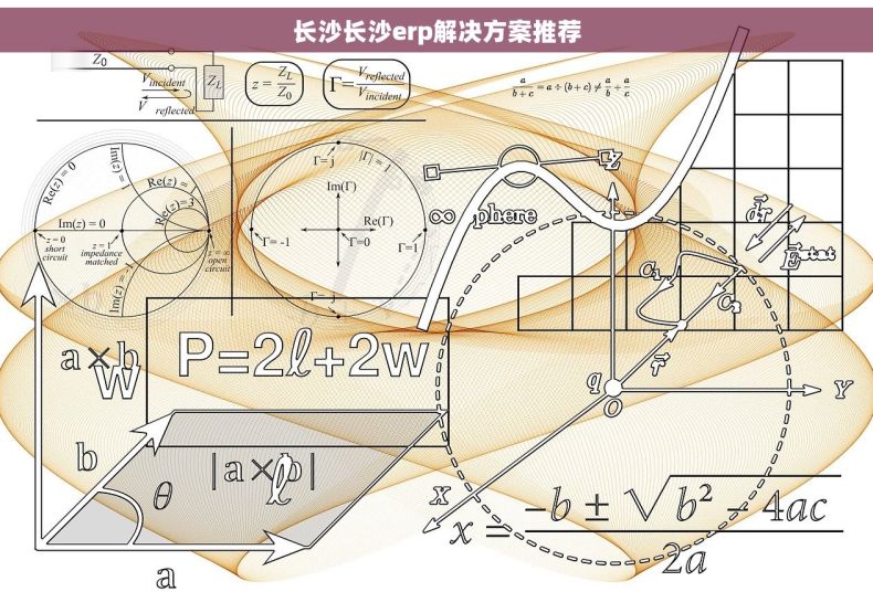 长沙长沙erp解决方案推荐
