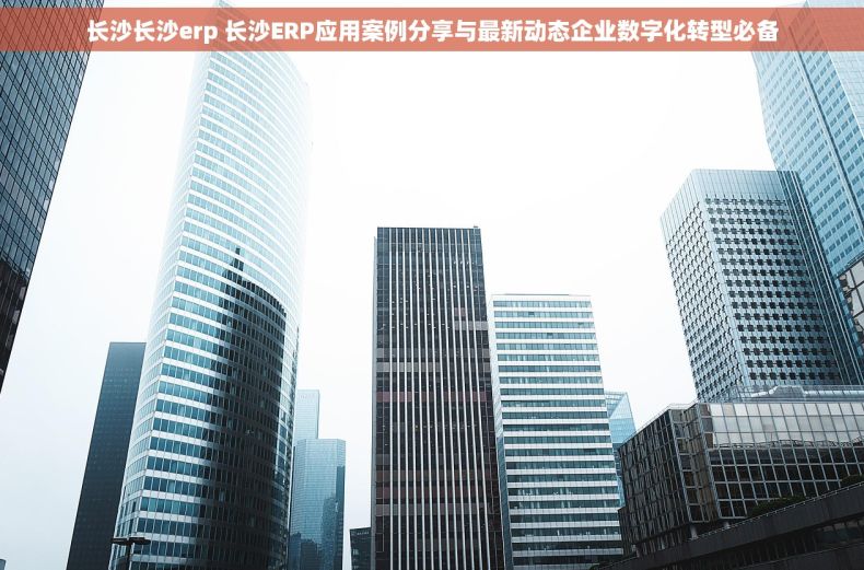 长沙长沙erp 长沙ERP应用案例分享与最新动态企业数字化转型必备