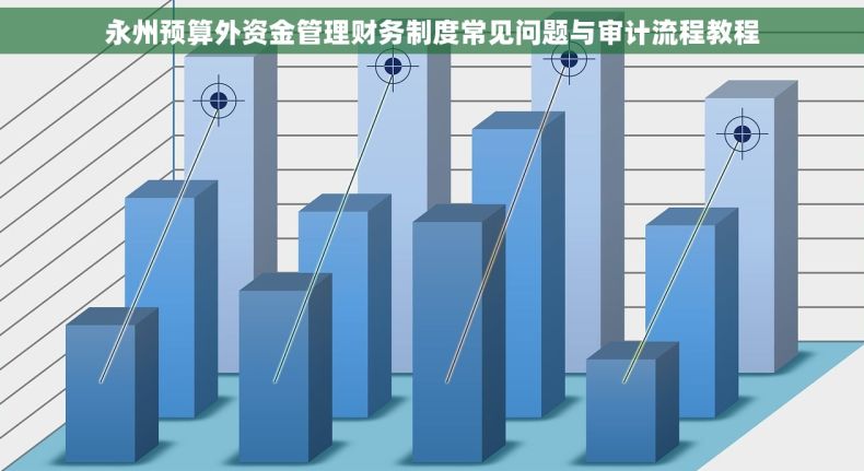 永州预算外资金管理财务制度常见问题与审计流程教程