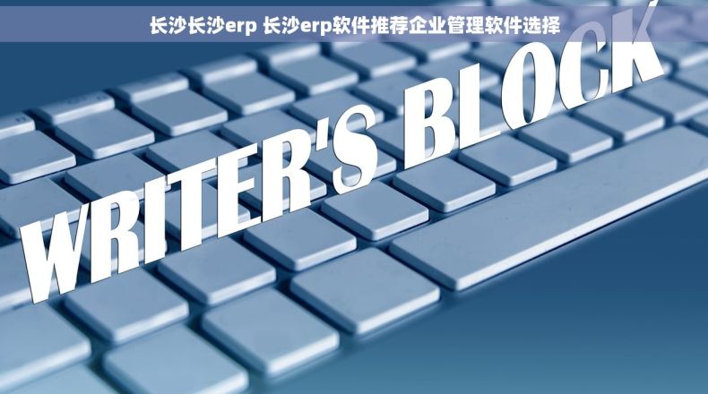长沙长沙erp 长沙erp软件推荐企业管理软件选择
