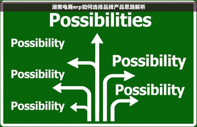 湖南电商erp如何选择品牌产品思路解析