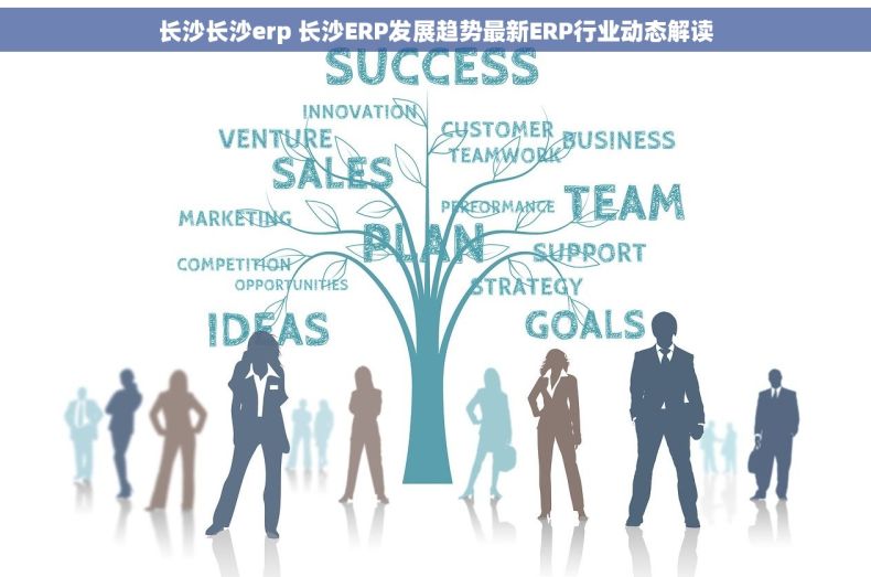 长沙长沙erp 长沙ERP发展趋势最新ERP行业动态解读
