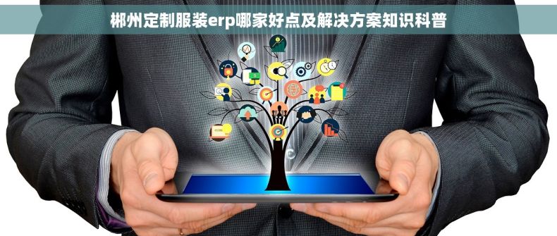 郴州定制服装erp哪家好点及解决方案知识科普