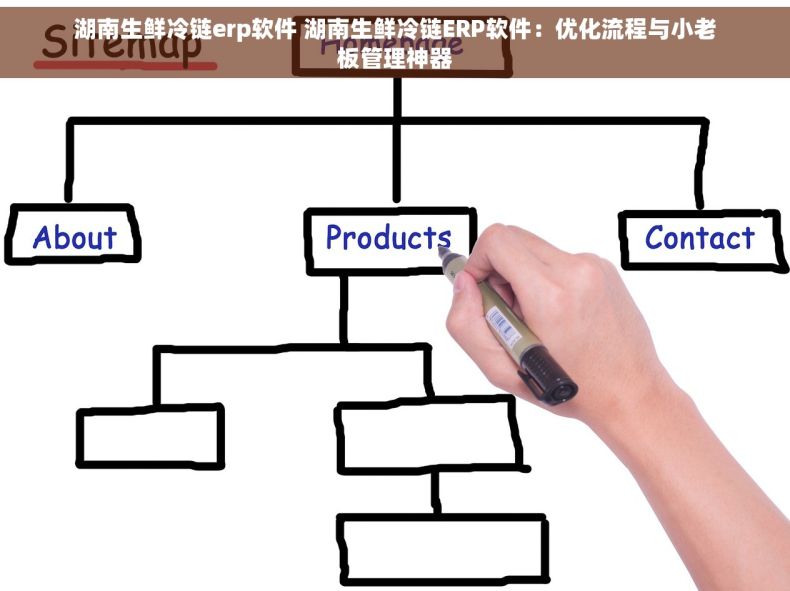 湖南生鲜冷链erp软件 湖南生鲜冷链ERP软件：优化流程与小老板管理神器