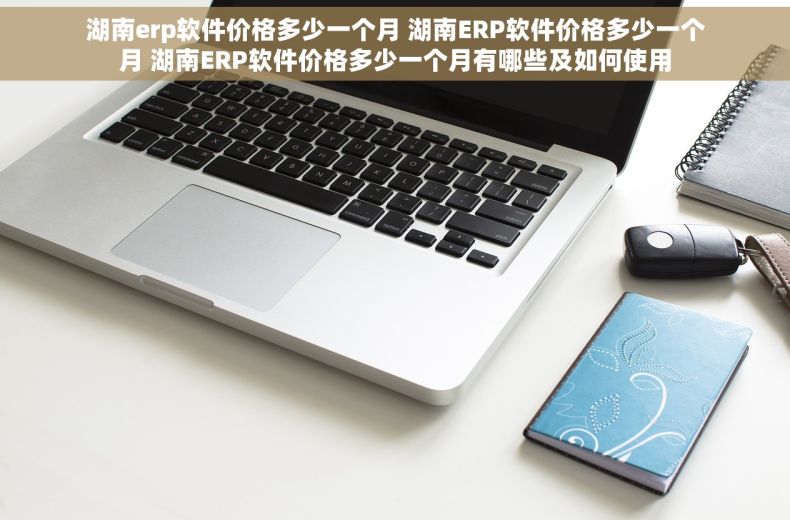 湖南erp软件价格多少一个月 湖南ERP软件价格多少一个月 湖南ERP软件价格多少一个月有哪些及如何使用