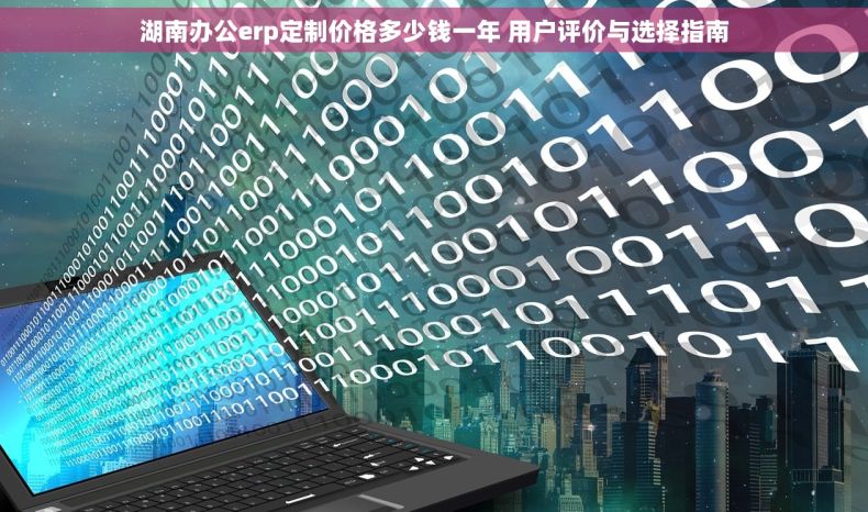 湖南办公erp定制价格多少钱一年 用户评价与选择指南