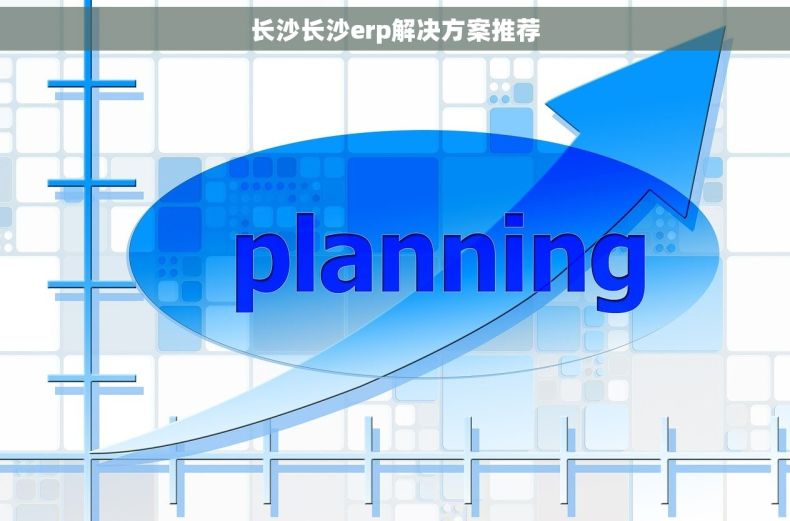 长沙长沙erp解决方案推荐