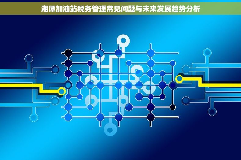 湘潭加油站税务管理常见问题与未来发展趋势分析