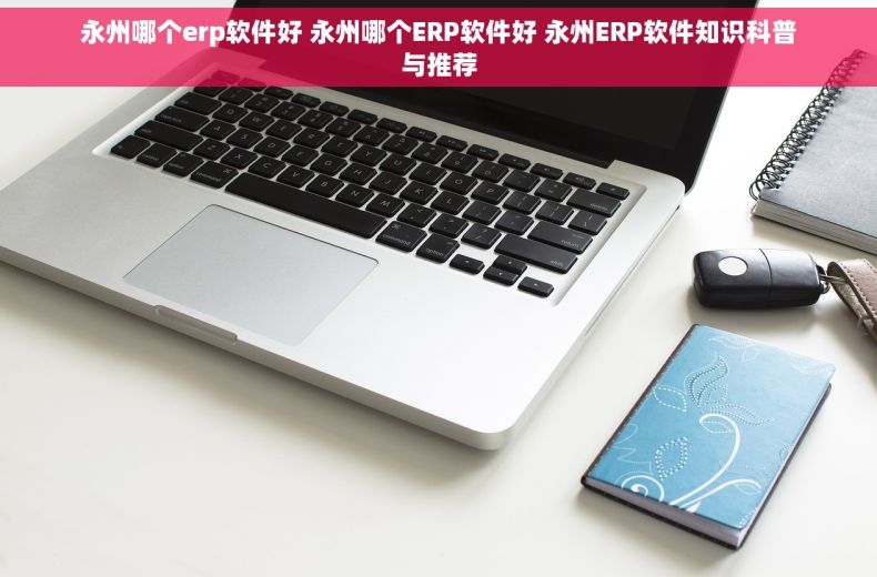 永州哪个erp软件好 永州哪个ERP软件好 永州ERP软件知识科普与推荐