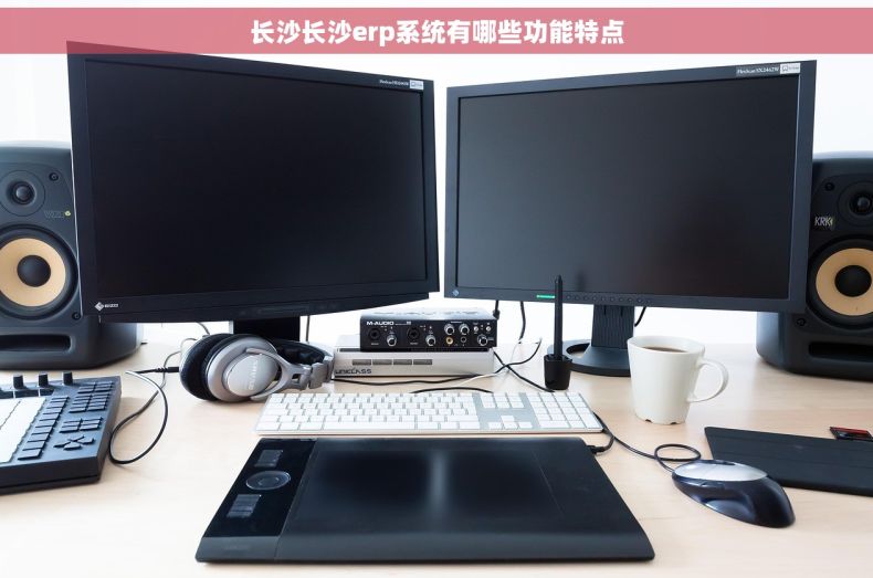 长沙长沙erp系统有哪些功能特点