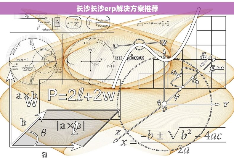 长沙长沙erp解决方案推荐
