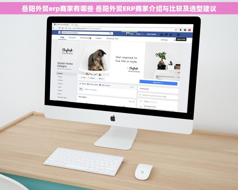 岳阳外贸erp商家有哪些 岳阳外贸ERP商家介绍与比较及选型建议