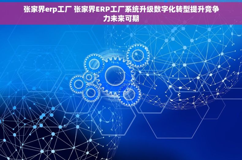 张家界erp工厂 张家界ERP工厂系统升级数字化转型提升竞争力未来可期