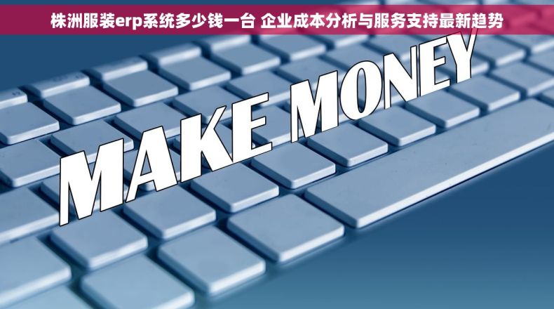 株洲服装erp系统多少钱一台 企业成本分析与服务支持最新趋势