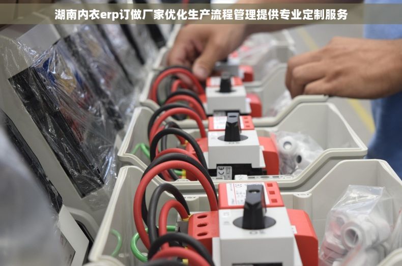 湖南内衣erp订做厂家优化生产流程管理提供专业定制服务