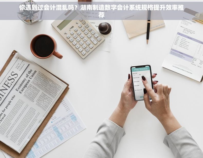 你遇到过会计混乱吗？湖南制造数字会计系统规格提升效率推荐