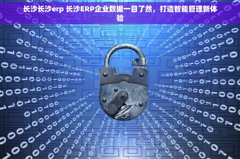 长沙长沙erp 长沙ERP企业数据一目了然，打造智能管理新体验