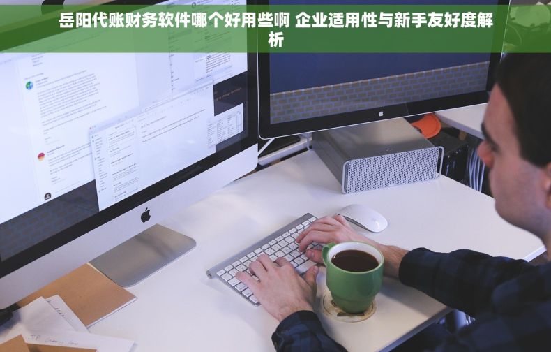岳阳代账财务软件哪个好用些啊 企业适用性与新手友好度解析