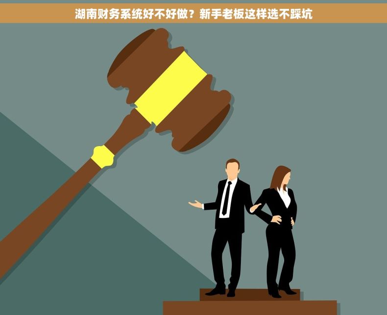 湖南财务系统好不好做？新手老板这样选不踩坑