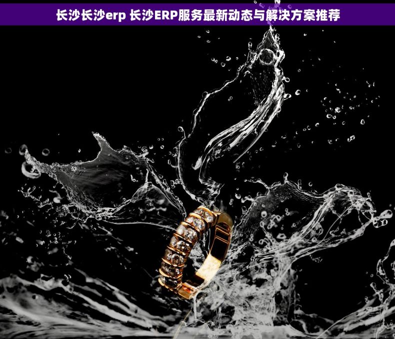 长沙长沙erp 长沙ERP服务最新动态与解决方案推荐