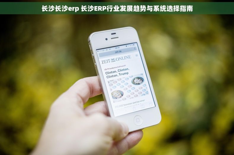 长沙长沙erp 长沙ERP行业发展趋势与系统选择指南