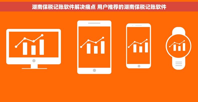 湖南保税记账软件解决痛点 用户推荐的湖南保税记账软件