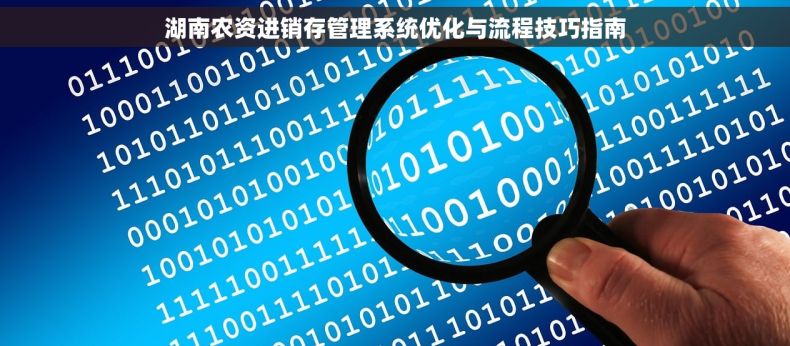 湖南农资进销存管理系统优化与流程技巧指南
