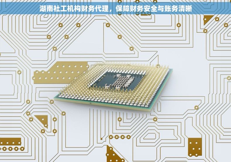 湖南社工机构财务代理，保障财务安全与账务清晰