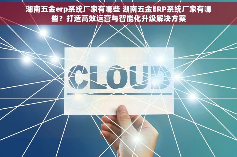 湖南五金erp系统厂家有哪些 湖南五金ERP系统厂家有哪些？打造高效运营与智能化升级解决方案
