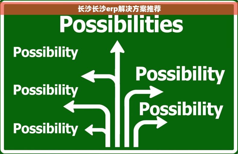 长沙长沙erp解决方案推荐