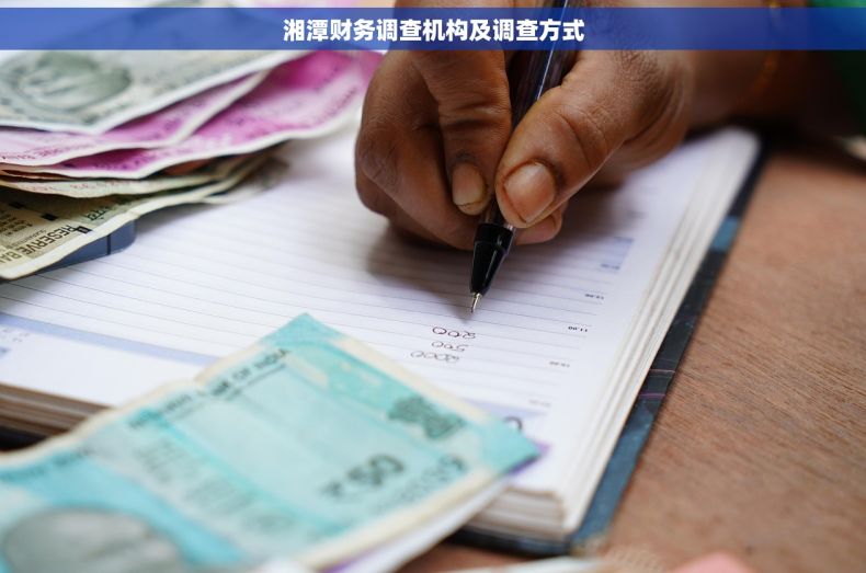 湘潭财务调查机构及调查方式