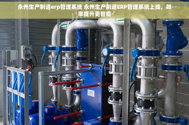 永州生产制造erp管理系统 永州生产制造ERP管理系统上线，效率提升更智能