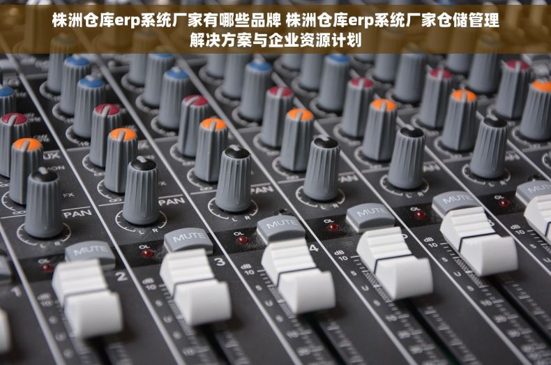 株洲仓库erp系统厂家有哪些品牌 株洲仓库erp系统厂家仓储管理解决方案与企业资源计划