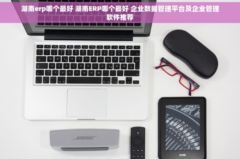 湖南erp哪个最好 湖南ERP哪个最好 企业数据管理平台及企业管理软件推荐