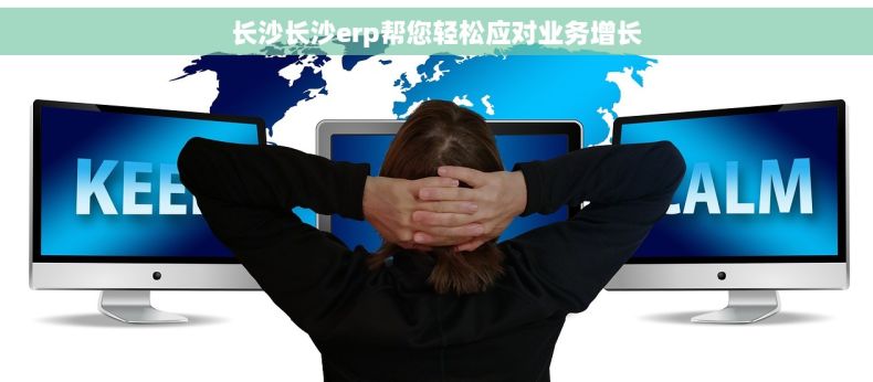 长沙长沙erp帮您轻松应对业务增长