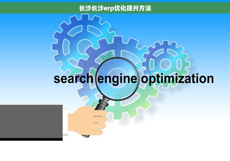 长沙长沙erp优化提升方法
