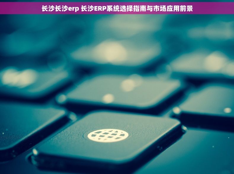长沙长沙erp 长沙ERP系统选择指南与市场应用前景