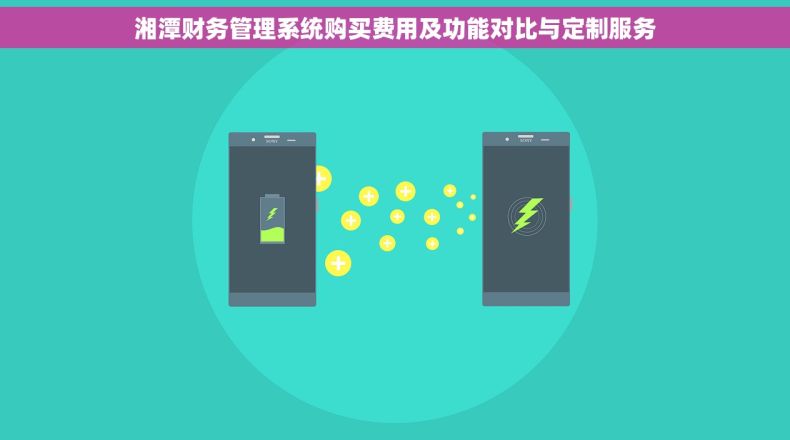 湘潭财务管理系统购买费用及功能对比与定制服务
