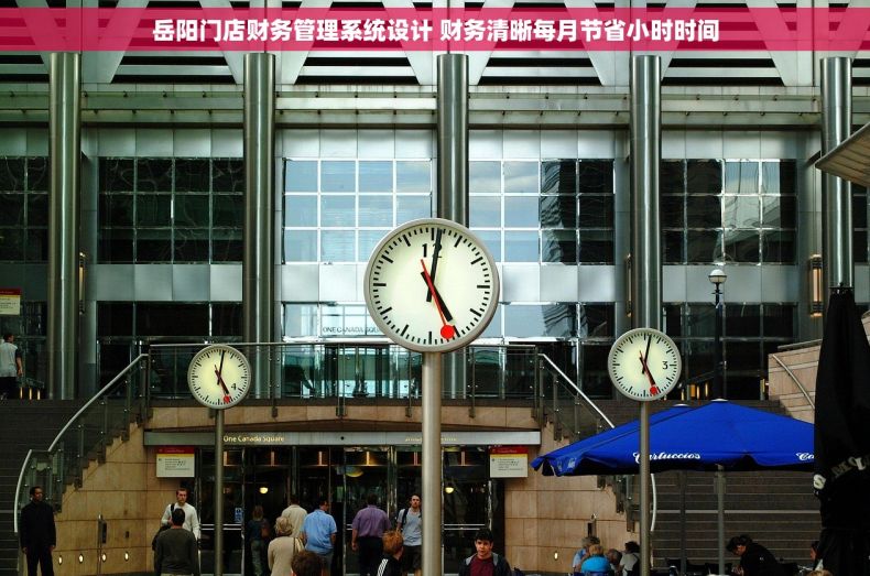 岳阳门店财务管理系统设计 财务清晰每月节省小时时间