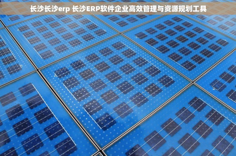 长沙长沙erp 长沙ERP软件企业高效管理与资源规划工具