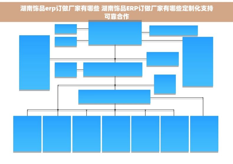 湖南饰品erp订做厂家有哪些 湖南饰品ERP订做厂家有哪些定制化支持可靠合作