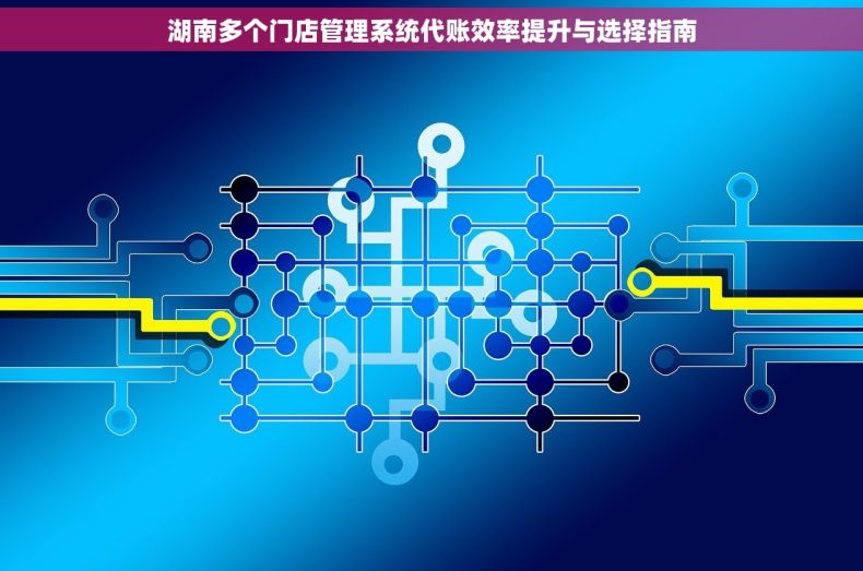 湖南多个门店管理系统代账效率提升与选择指南