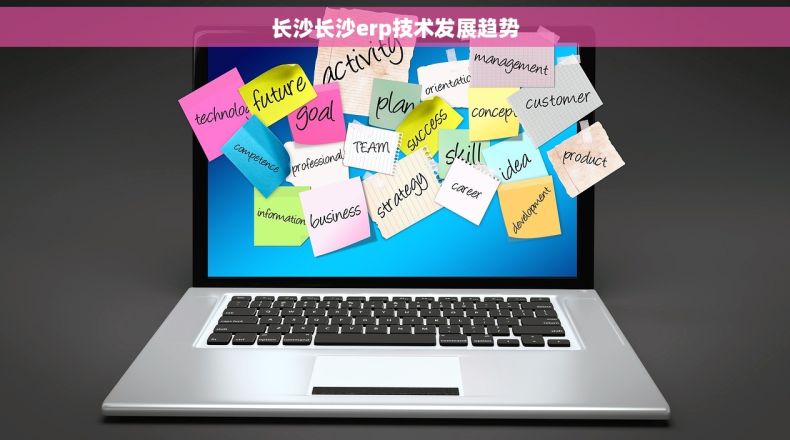 长沙长沙erp技术发展趋势