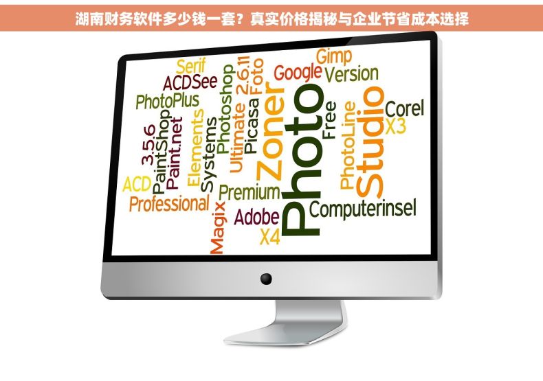 湖南财务软件多少钱一套？真实价格揭秘与企业节省成本选择