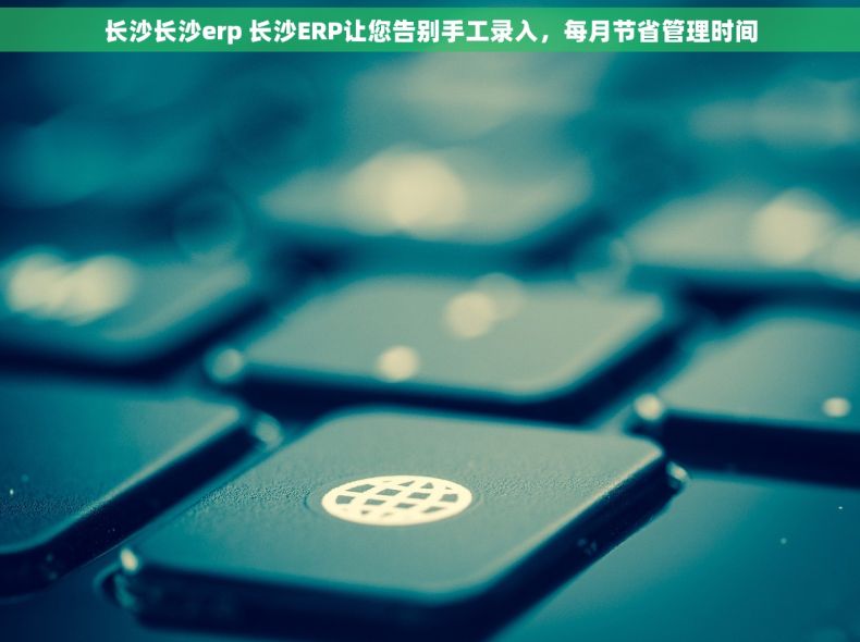 长沙长沙erp 长沙ERP让您告别手工录入，每月节省管理时间