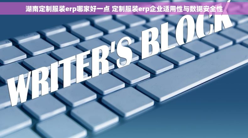 湖南定制服装erp哪家好一点 定制服装erp企业适用性与数据安全性