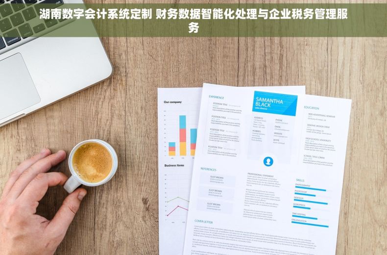 湖南数字会计系统定制 财务数据智能化处理与企业税务管理服务